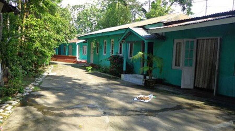 Green Reed Resort By Meenakshi, Kaziranga 1